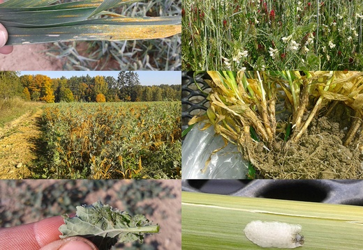 Terénní zajímavosti